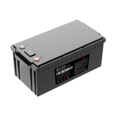 Neutron LiFePO4 Batarya 12.8V 200Ah